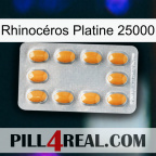 Rhinocéros Platine 25000 cialis3